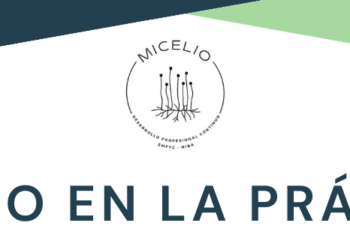 Cambios en calendario de vacunas: HPV, neumococo y virus sincicial respiratorio