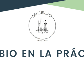 Cambio en la práctica: abordaje de la obesidad