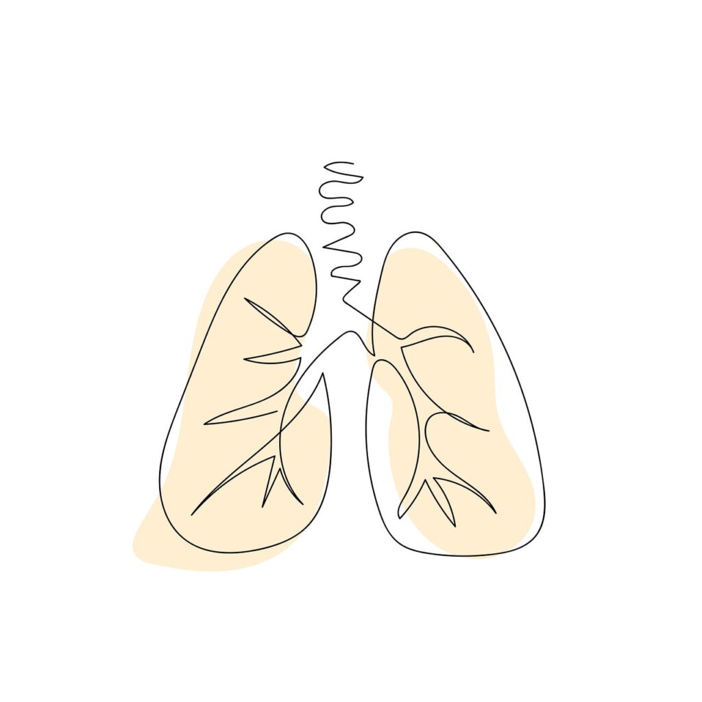 Ecografía pulmonar en niños: ¿cuándo suma en atención primaria?
