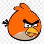 Foto del perfil de orangebird